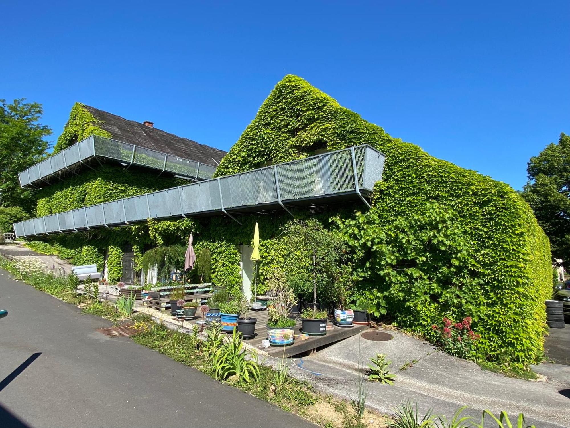 Wohnen Zwischen Golf Und Therme Bad Waltersdorf Extérieur photo